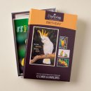 Boxed Card Birthday Feathered