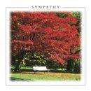 Sympathy Card - Pack Of 6