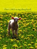 Lamb Psalm Journal Notebook