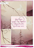May the Peace of Christ Poster