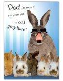 Father's Day Humour Card