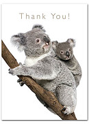 Thank You Cards - Pack of 4