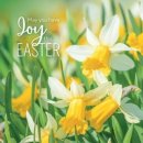 Bible Verse Note Cards - Pack of 8