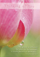 Thinking of You Cards - Pack of 4