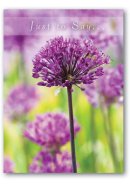 Just To Say Cards - Pack of 4