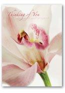 Thinking of You Cards - Pack of 4