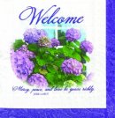 Napkin  Welcome Pack Of 20