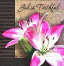 Napkin God Is Faithful Pack Of 20