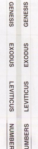 Index Tabs: Std, Silver Edge