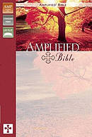 Amplified Bible Duotone Orchid Plum
