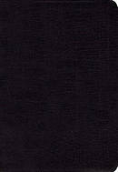 KJV and Amplified Side-by-side Bible