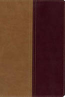 KJV and Amplified Side-by-side Bible