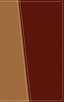 Amplified Topical Reference Bible: Tan / Burgundy, Italian Duo Tone