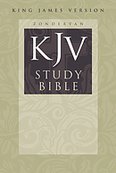 KJV Study Bible: Hardback, Large Print