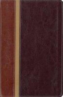 Message Parallel Study Bible-PR-NIV/MS-Numbered Personal Size