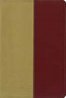 KJV / Amplified Parallel Bible: Gold/Rich Red: Italian Duo-Tone™,
