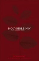 NIV Bold Print Bible: Hardback