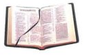 NIV Popular Cross-Reference Edition Black Calfskin 