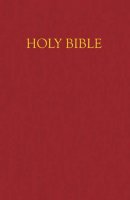 NRSV Children's Bible: Burgundy, Imitation Leather