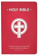 NRSV Nurse's Gift Bible: Red, Imitation Leather