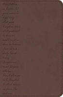 God's Word Pray the Scriptures Bible Imitation Leather Brown