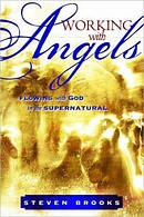 Working With Angels Pb