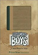 God's Word for Boys