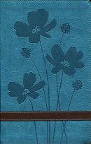 GW Personal Size Giant Print Bible: Turquoise/Brown, Imitation Leather