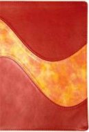 NRSV Catholic Youth Bible: Red and Orange Leatherette