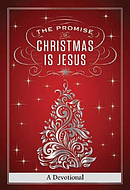 Hope Of Christmas Is Jesus Pb Display