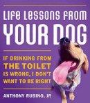 Life Lessons From Your Dog Hb