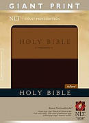 Giant Print Bible-NLT