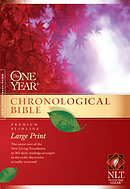 NLT One Year Chronological Slimline Bible: Hardback, Large Print
