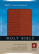 NLT Slimline Reference Bible, Psalm 23