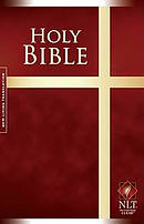 NLT Worldwide Edition Burgundy Hardback