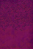 Nkj Women Of Faith Devotional Bible Leat