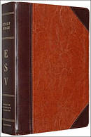 ESV Study Bible: Brown / Cordovan, TruTone