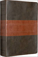 ESV Study Bible: Forest / Tan, Trail Design, TruTone