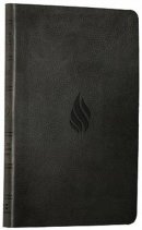ESV Value Thinline Bible: Midnight, Flame Design, TruTone