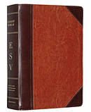 Esv Study Bible Per Sz Lthlike Brn Bur