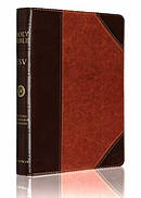ESV Large Print Bible