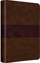 ESV Gospel Transformation Bible (TruTone Chocolate/Plum, Trail Design)