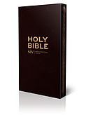 NIV Diary Bible: Brown, Leather Bonded