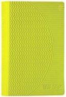 ESV Compact Bible: Lime, Imitation leather