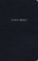 KJV Devotional Bible