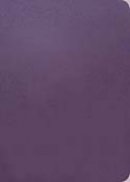 The Message Remix 2.0: Purple, Leatherlook