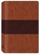Study Bible