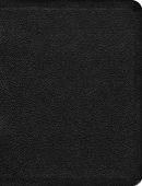 The Message Bible: Black, Premium Leather, Large Print