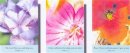 Flower Cards - Pack of 48