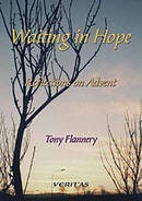 Waiting in Hope: Reflections on Advent